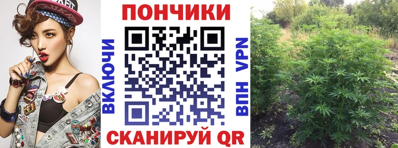 Как найти наркотики Менделеевск Конопля  Меф  А ПВП  Галлюциногенные грибы  COCAIN  Codein  ГАШИШ 