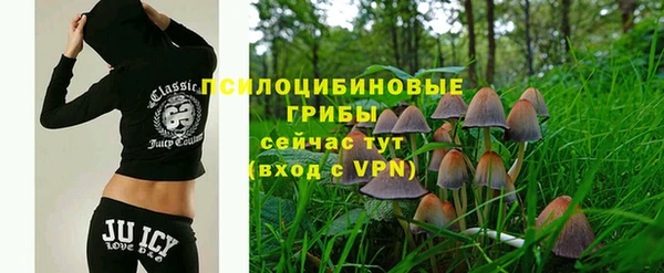 трава Алексин