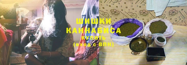 ГАЛЛЮЦИНОГЕННЫЕ ГРИБЫ Остров